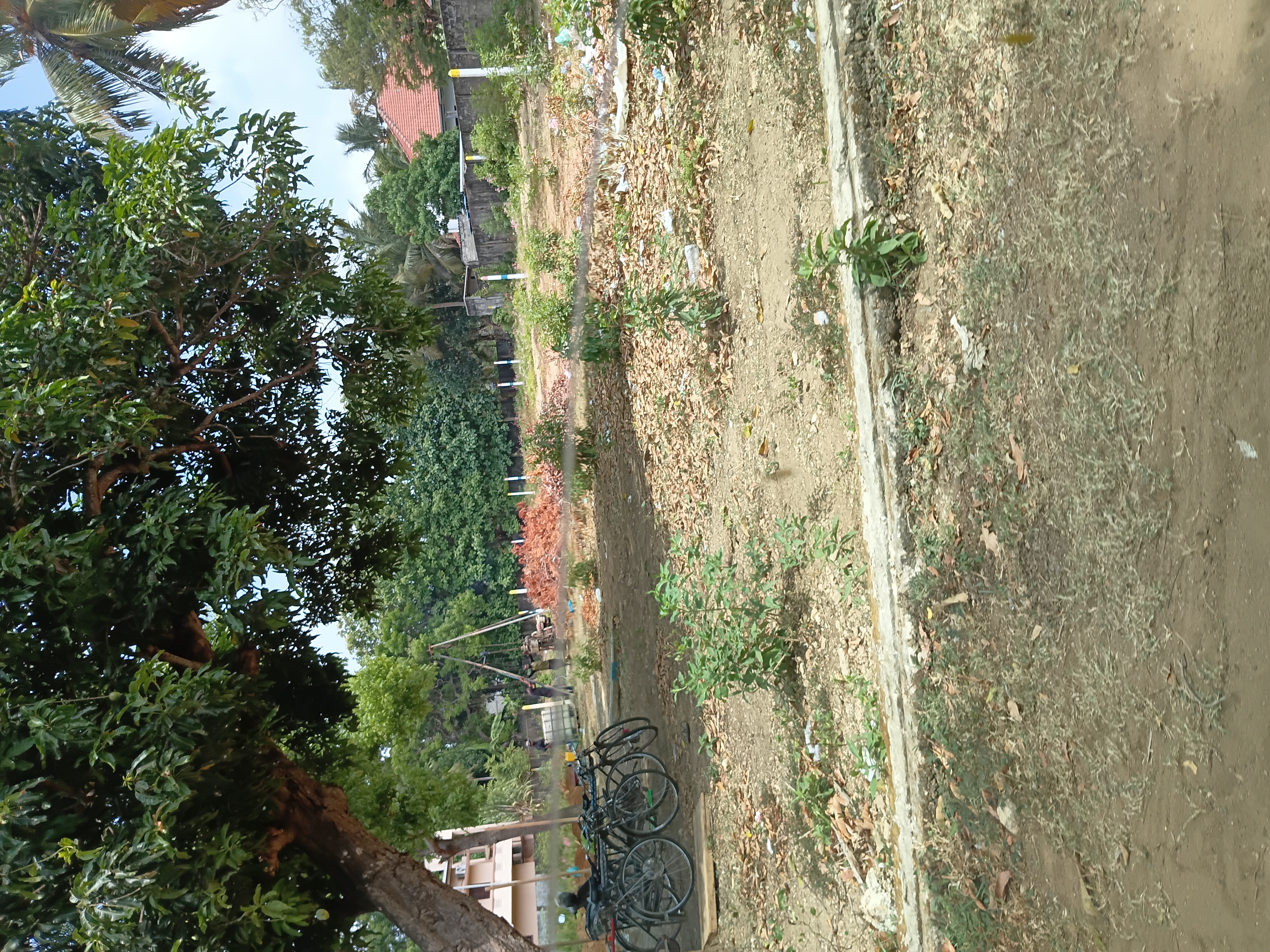 Bare Land